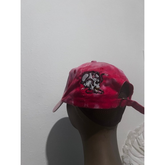 Hat Bundle - Picture 1 of 12